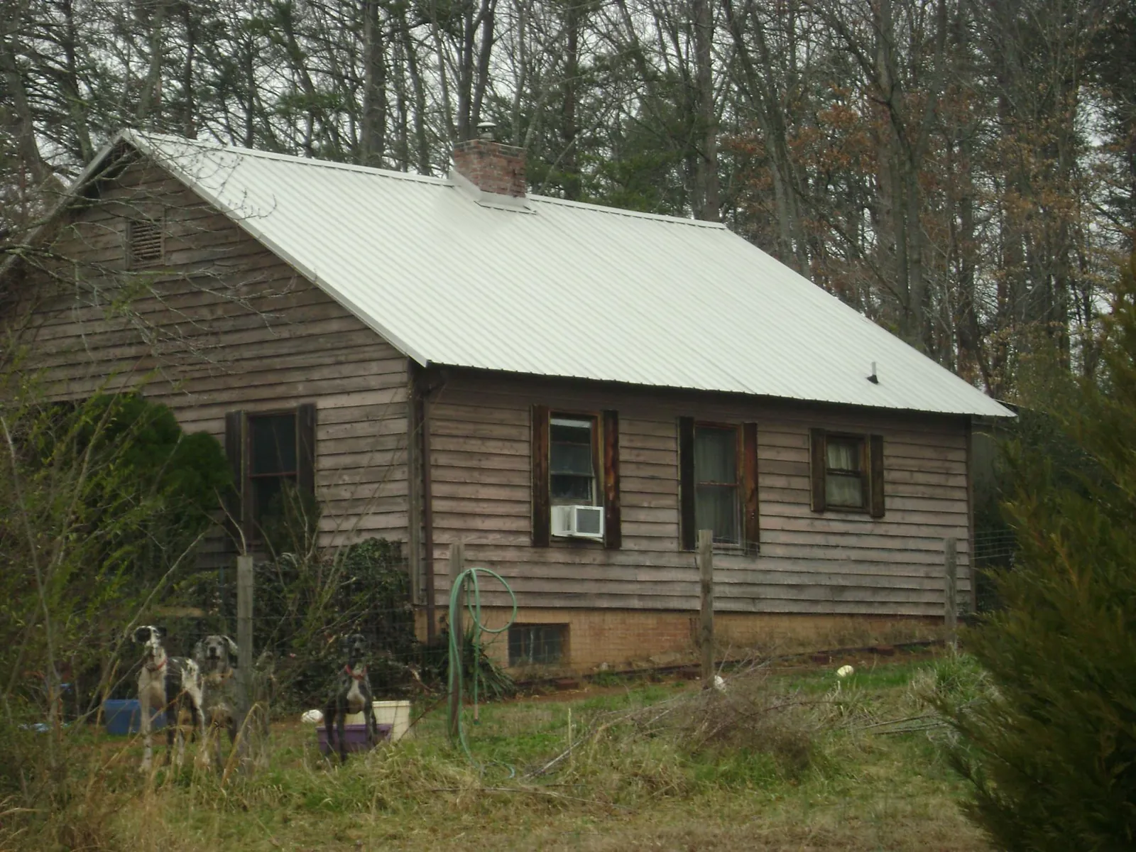 White metal roof on an old wood sided farmhouse, from a Metal Roof Installation job in Fort Bragg